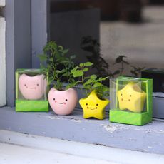 【迎光】Cute plant陶瓷植栽(星星、愛心  兩款可選)