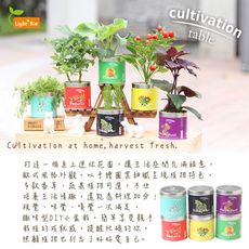 【迎光】Cultivation Table栽培罐六款任選