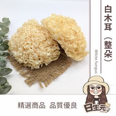 【日生元】 生機 白木耳 300g 整朵 銀耳 雪耳 歡迎批發