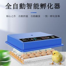 現貨 全自動孵化器 56枚孵蛋器 智慧控溫家用型小雞孵化機 智能孵化箱 鵪鶉孵蛋器