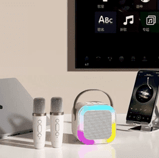 音箱 麥克風k歌音箱一體機 無線音箱 無線麥克風 手持家庭ktv套裝(雙麥套裝）