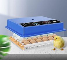 現貨 全自動孵化器 48枚孵蛋器 智慧控溫家用型小雞孵化機 智能孵化箱 鵪鶉孵蛋器