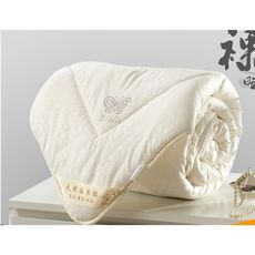 被子冬被芯冬天加厚保暖學生宿舍單人太空雙人空調春秋冬季全棉被 - 200*230cm