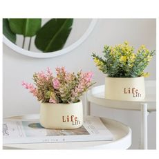 ins綠植北歐假草盆栽仿真植物裝飾室內假花盆景小擺件桌面窗臺