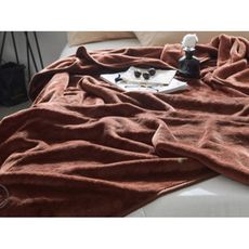 星洋家居 毛毯加厚單人 學生宿舍秋冬季 珊瑚絨 被子 午睡法蘭絨 小毯子 保暖床單 床單 毛毯 毯子