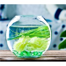 一件免運 創意透明圓形玻璃魚缸中小型烏龜缸生態金魚缸懶人客廳 - 透明款25cm
