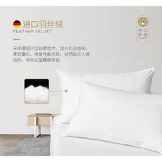 枕頭成人護頸枕全棉家用枕芯單人壹對拍2