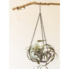 紫蘭軒*免運鐵骨多面體鐵鏈吊籃花器工業風loft美式復古做舊鐵藝幾何 工業風 美式復古 做舊鐵藝 幾