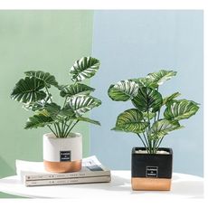 ins北歐風室內仿真綠植盆栽龜背葉假植物盆景擺件客廳桌面裝飾品 - 款式備註