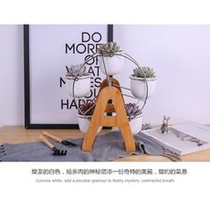 四季安家居摩天輪多肉植物陶瓷小花盆簡約桌面擺件創意ins北歐風禮品個性盆 - 下單備註或者留言款式