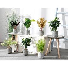 ins北歐創意家居仿真植物盆景客廳室內假花綠植盆栽簡約裝飾擺件 - 款式備註