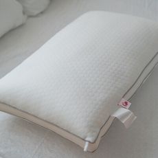 【Annahome】舒柔大水洗枕 可機洗 MIT台灣製
