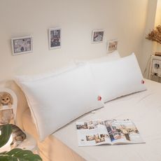 【Annahome】兔兔纖維澎澎枕 買送純棉枕頭套 MIT台灣製