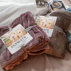 【Annahome】素色羊羔絨厚毯 溫暖過冬 (150cmX200cm)