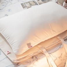 【Annahome】夾心感 兔兔無憂枕  買送『純棉枕頭套』MIT台灣製