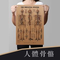 | P093| 人體骨骼 | 復古牛皮海報 |