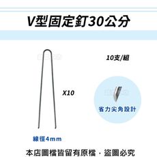 V型固定釘30公分(線徑4mm.V型釘.鐵線釘) 10支/組
