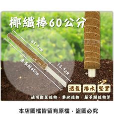 椰纖棒 60公分(可串接式)(塑膠中柱防霉)攀爬類植物.水苔棒.椰纖柱.椰棒