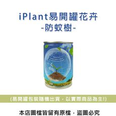 iPlant易開罐花卉-防蚊樹