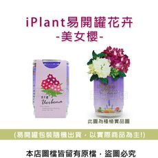 iPlant易開罐花卉-美女櫻