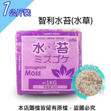 智利水苔(水草)1公斤裝±10%