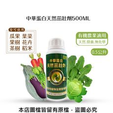 中華蛋白天然茁壯劑500ML