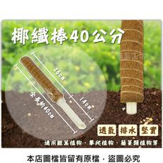 椰纖棒 40公分(可串接式)(塑膠中柱防霉)攀爬類植物.水苔棒.椰纖柱.椰棒