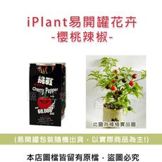iPlant易開罐花卉-櫻桃辣椒