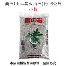 蘭石(土耳其火山石)約16公升-小粒