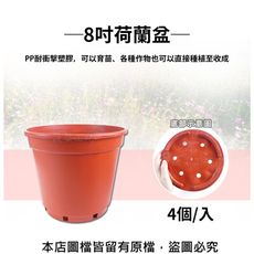 8吋荷蘭盆(栽培盆) 4個/入