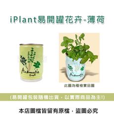 iPlant易開罐花卉-薄荷