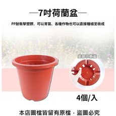 7吋荷蘭盆(栽培盆) 4個/入