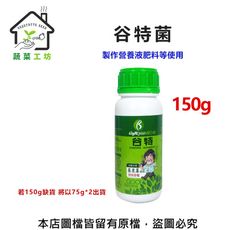 谷特菌150克(新蔡18菌) 若150克缺貨會以75克*2出貨