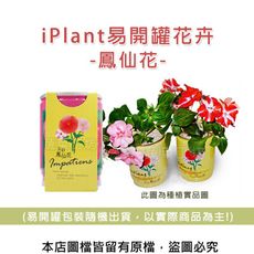 iPlant易開罐花卉-鳳仙花