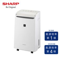 【SHARP 夏普】10公升 一級能效 自動除菌離子 空氣清淨除濕機 DW-P10FT-W 清新白