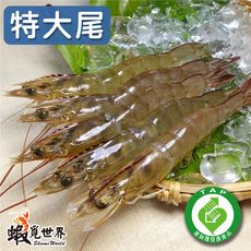 【蝦覓世界】特大尾生鮮急凍白蝦-3包含運組(300g/包)