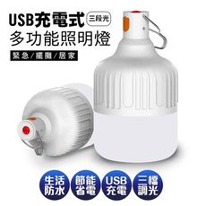 USB充電露營燈20W 戶外照明燈10入   帳篷燈 /擺地攤 /防水