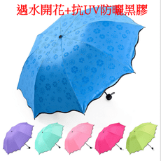 黑膠 遇水開花 遮陽傘 晴雨傘 三折傘 抗UV傘