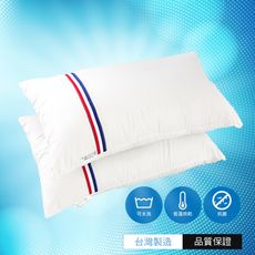 Artis台灣製 - 防螨抗菌可水洗枕 使用大和SEK抗菌技術/真空壓縮包裝/可拆式內套/不易變形