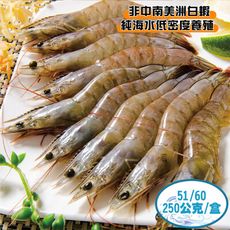 【鮮綠生活】鮮活白蝦(規格51/60) 250克