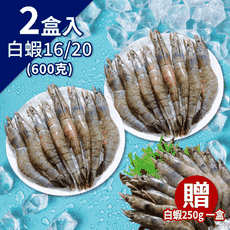 【鮮綠生活】白蝦買大送小組 金剛大王白蝦16/20*2盒 贈白蝦4/5*1盒