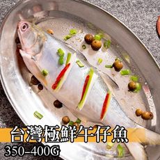 【鮮綠生活】台灣午仔魚350-400克