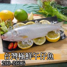 【鮮綠生活】台灣午仔魚200-250克