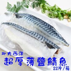 【鮮綠生活】挪威薄鹽鯖魚M~超優惠特價(22包/箱)