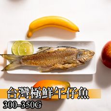 【鮮綠生活】台灣午仔魚300-350克