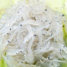 【鮮綠生活】南方澳生凍吻仔魚(200G/包)