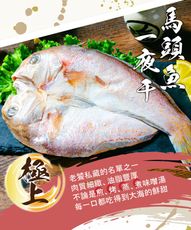 【鮮綠生活】獨創切法馬頭魚一夜干(300-400g/尾)