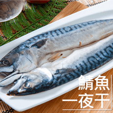 【鮮綠生活】整尾挪威薄鹽大鯖魚一夜干(225克/包)