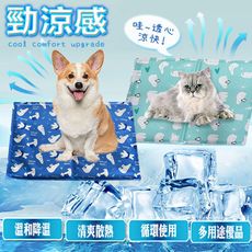 【DTW】日式可折疊沁涼寵物冰涼墊