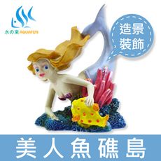 【水之樂】美人魚礁島